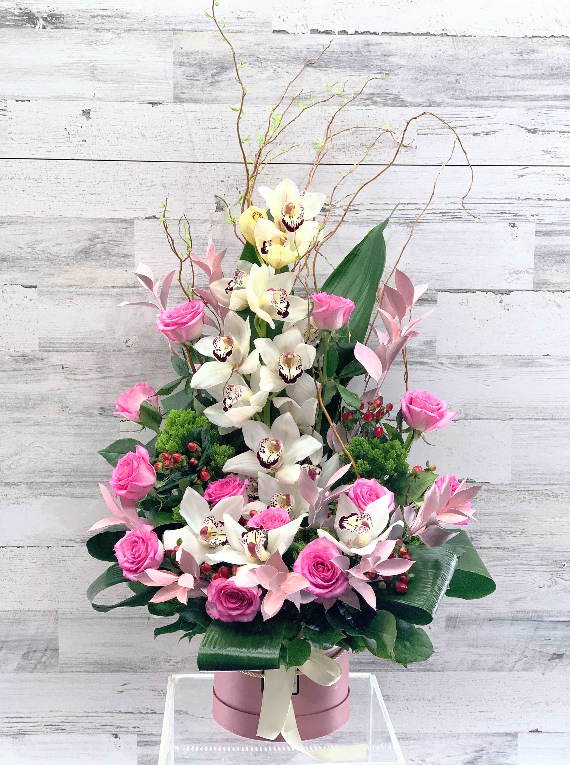 Dariya - M Ny Flowers