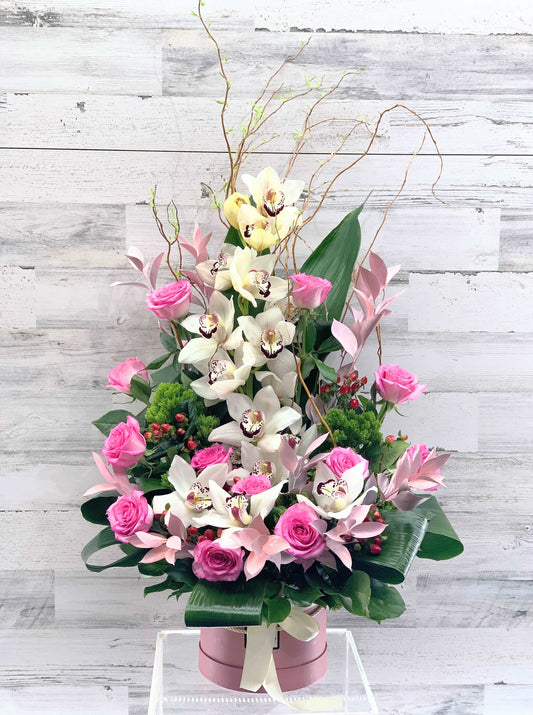 Dariya - M Ny Flowers