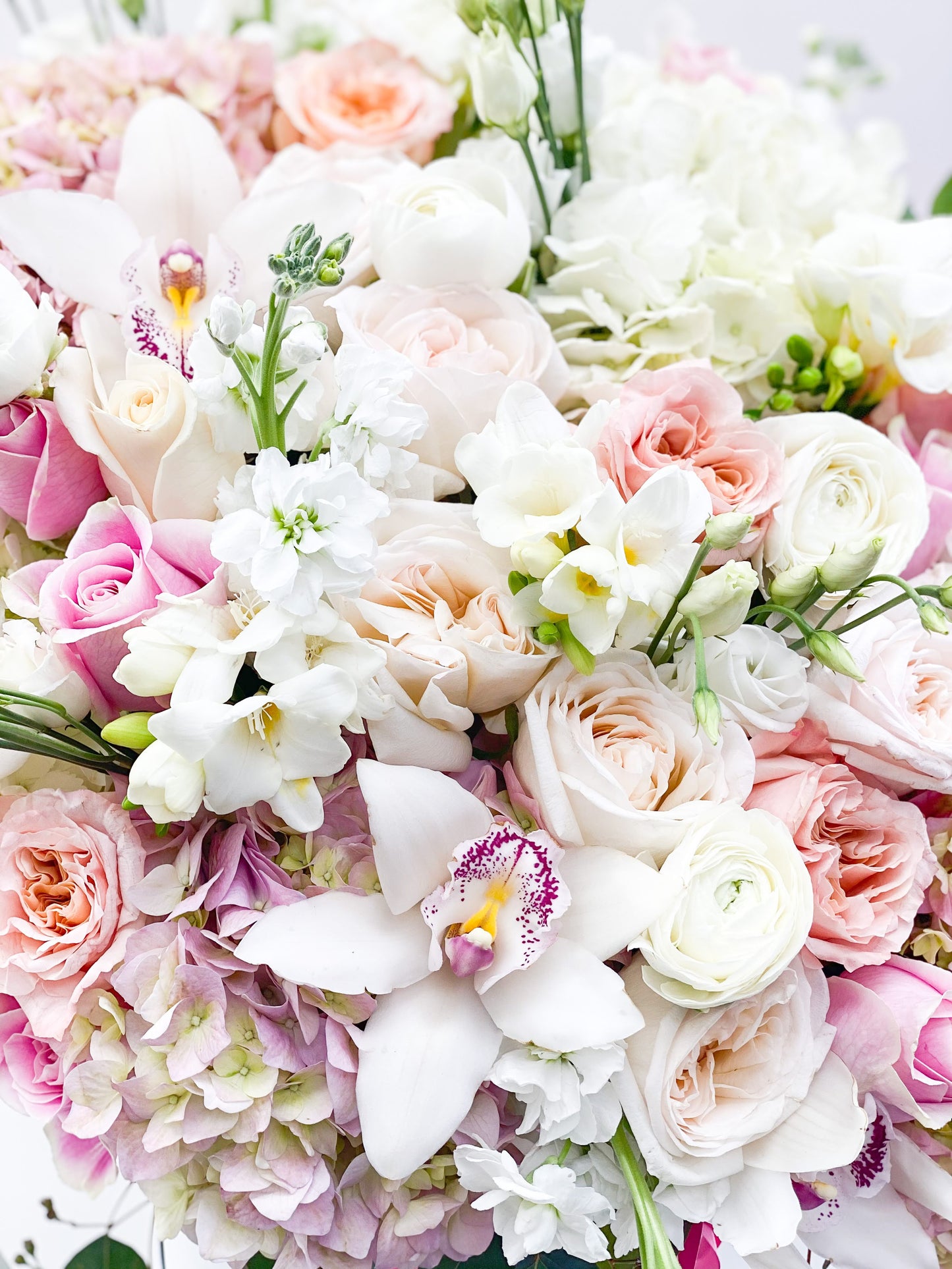 Olina. - M Ny Flowers