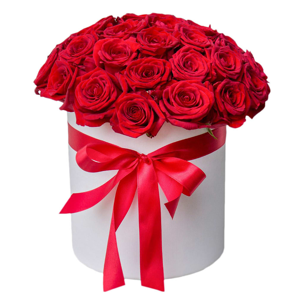 Rose Classic - M Ny Flowers