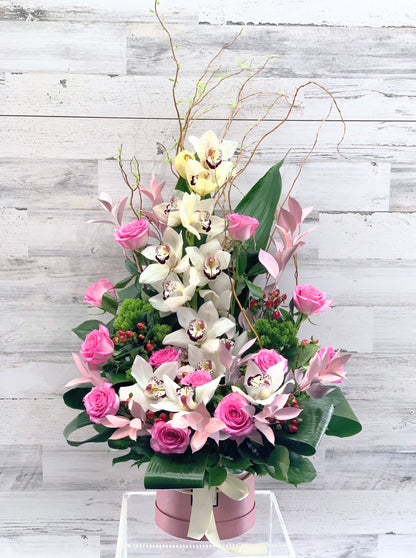 Dariya - M Ny Flowers